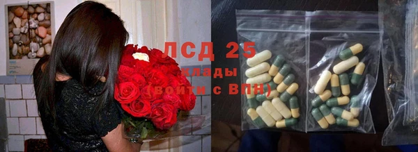 бошки Лабытнанги