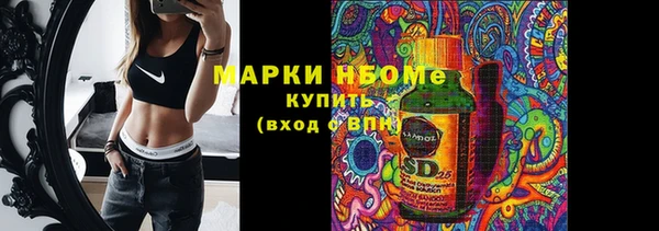 бошки Лабытнанги