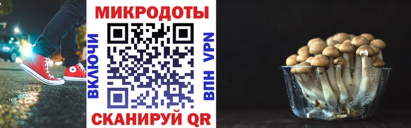 мега tor  Павловский Посад  Галлюциногенные грибы Psilocybe  закладки 